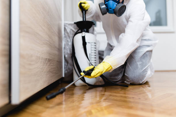 Best Pest Control Near Me in Rush City, MN