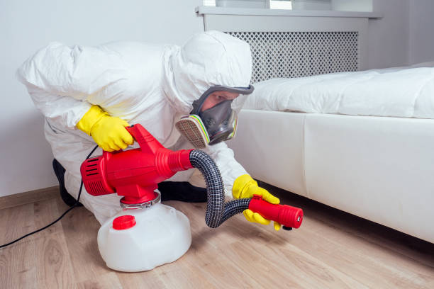 Best Wildlife Control Services  in Rush City, MN