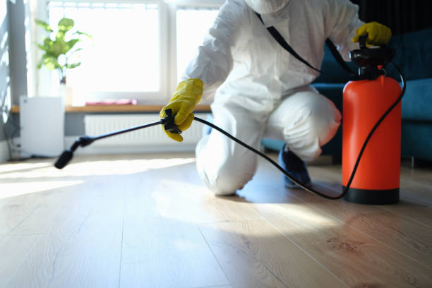 Best Mosquito Control Services  in Rush City, MN