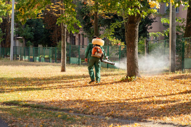 Bird Control in Rush City, MN