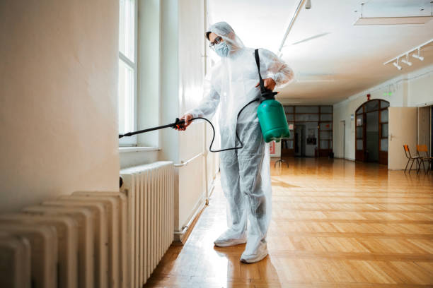 Best Pest Removal Services  in Rush City, MN