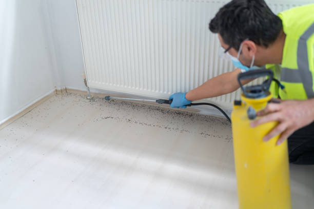 Reliable Rush City, MN Pest Control Solutions
